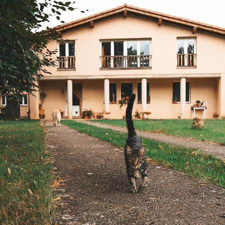 Casa De Campo La Solana Estollo Kültér fotó