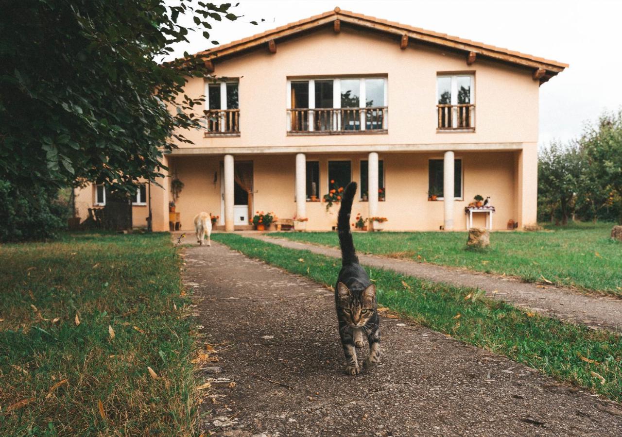 Casa De Campo La Solana Estollo Kültér fotó