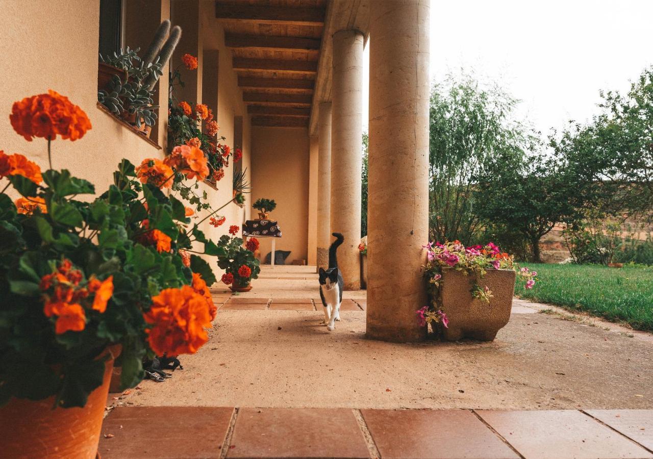 Casa De Campo La Solana Estollo Kültér fotó
